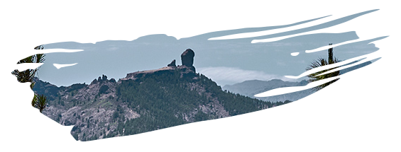 delimiter image